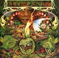 スパイロ・ジャイラ / モーニング・ダンス(限定盤)