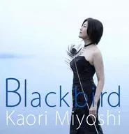 三善香里 / ブラックバード