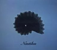 Nautilus / Nautiloid Matter
