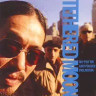 菊地雅章 / デザート・ムーン