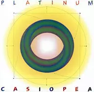仙后座/PLATINUM