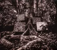 卡馬西華盛頓/Harmony of Difference
