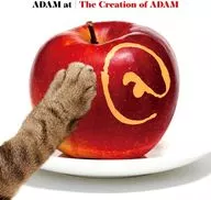 ADAM at / The Creation of ADAM