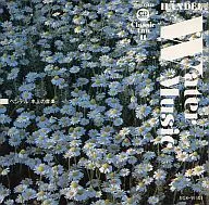 Shogakukan CD Book Classic in 11 (Music on the water)