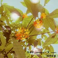 笹川美和/金桂花-kinmokusei