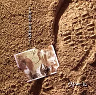 維人偶娃娃/十年後的今天在這裏…