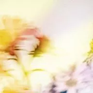 Plastic Tree / Sion [Normal Edition B]