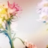 Plastic Tree / シオン[DVD付初回限定盤B]
