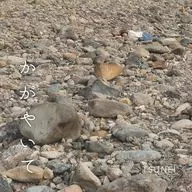 TSUNEI / かがやいて