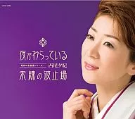 西尾夕紀 / 夜がわらっている