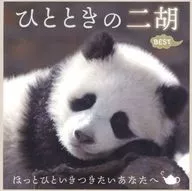 ひとときの二胡 BEST -ほっとひといきつきたいあなたへ-