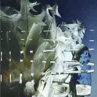 Merzbow / Fantail Vision