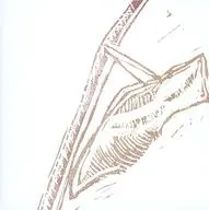 Ui Iwasaki / 蛹