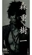 Kiichi Morishige (ZIGGY) / SAD. / Nagatanashi ni