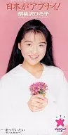 Hiroko Kurumizawa / Nihonga Abunai! / I want to run