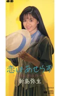 新岛弥生/(废盘)恋爱不急/Beli