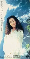 Akiko Yano / Wonderful Days