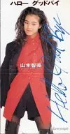 Tomomi Yamamoto / Hello goodbye