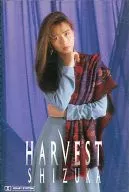 工藤静香 / HARVEST