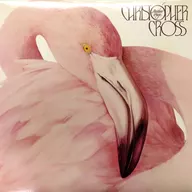 CHRISTOPHER CROSS / ANOTHER PAGE [import edition]