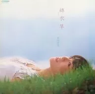 岩崎宏美 / 緋衣草(サルビア)