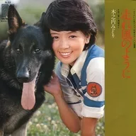 Midori Kinouchi / Corra como o vento / Ombro para o amor ~ TV drama "Detective Dog Carl" música tema