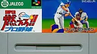 (A teoria da caixa não existe) Super Burning! Professional Baseball "