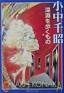 在深淵中行走