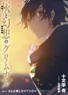 GRIMGAR OF FANTASY AND ASH ex. 1 Sabara Aishiki ゴブリガル