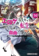 マジカル★エクスプローラー エロゲの友人キャラに転生したけど、ゲーム知識使って自由に生きる(14) / 入栖