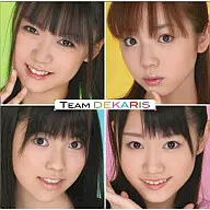 チームDEKARIS/恋のデカリス