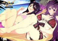 閃乱カグラ ESTIVAL VERSUS -少女達の選択- にゅうにゅうDXパック アレンジサウンドトラック＆ドラマCD
