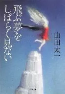 我很久沒做飛的夢了