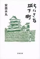 Una pequeña ciudad castillo