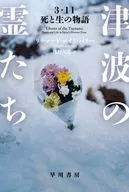 海啸之灵3·11死与生的故事