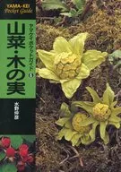 ヤマケイポケットガイド 6 山菜・木の実 / 水野仲彦
