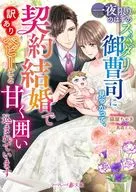 一夜限りのはずのスパダリ御曹司に見つかって、契約結婚で訳ありベビーごと甘く囲い込まれています / 猫屋ちゃき
