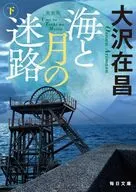 海と月の迷路(下)  / 大澤在昌