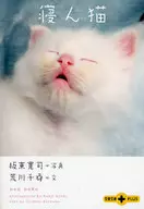 Sleeping cat