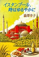 伊斯坦布尔，时间是缓慢的