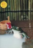 Livro de calendário