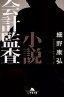 小说会计审计
