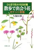 Um guia de bolso de flores encontrado em um passeio