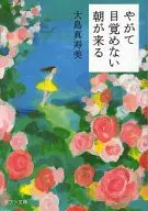 Pronto vendrá una mañana que no despertará.