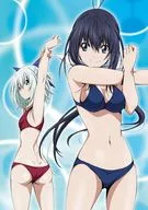 竞女!!!!!!!!Vol.1[初次规格版]