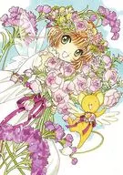 魔卡少女樱Blu-ray BOX[初始规格版]