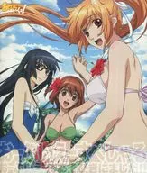 あそびにいくヨ! おーぶいえーであそびきにました!! OVAすぺしゃる[通常版]