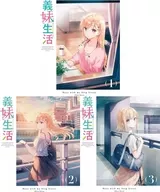 My Sister-in-Law Life 3-volume set