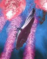 ヤマトよ永遠に REBEL3199 4 [初回版]