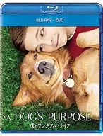 My Wonderful Life Blu-ray + DVD Set